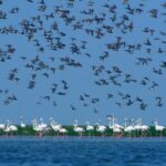 1_JI-jlidli5ESesPnt0IHkA