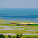 b-chilika-train1
